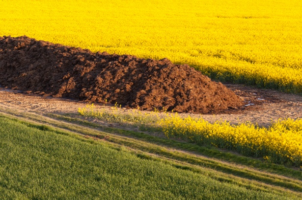 Dialogo cittadino sul compostaggio a Nocera Inferiore