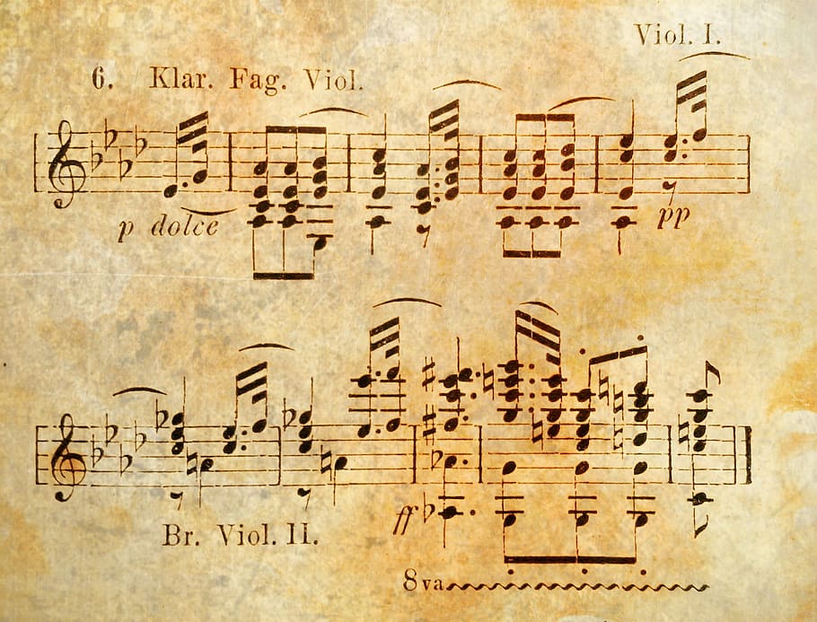 Un omaggio musicale alla professoressa D’Arienzo
