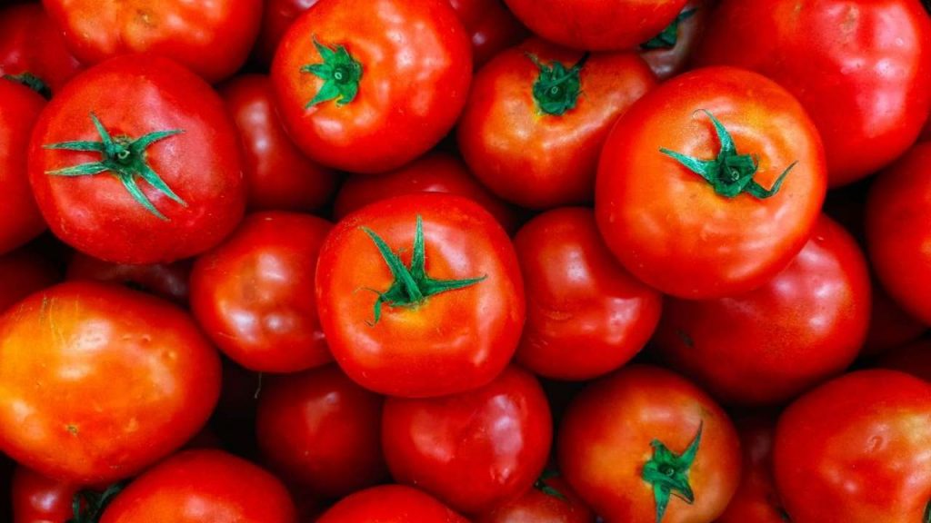 Addio ai pomodori