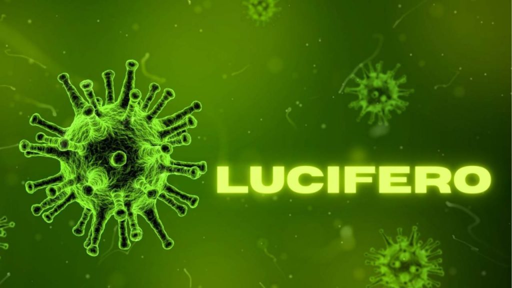 Allerta rossa: ecco “Lucifero”, il virus di fine estate | Lo beccano tutti quelli che sono andati qui