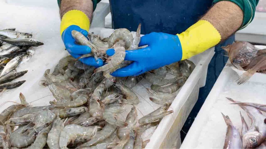 Ultim’ora Ministero della Salute: “Non mangiate questo pesce o vi avvelenate” | È il più consumato in Campania