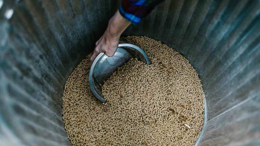 Questo è il “pellet più pericoloso del mondo”: guai a fare scorta di queste marche | Finisci col tumore ai polmoni conficcato