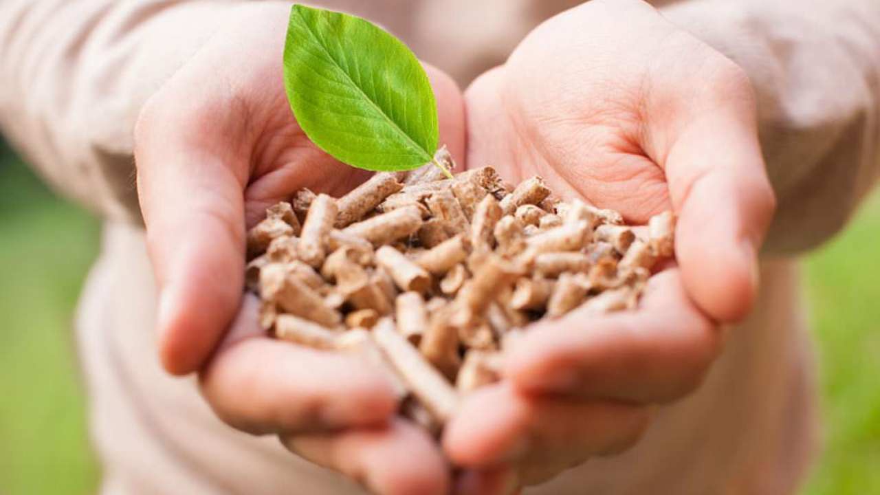 Pellet moderno - consapevole - risorgimentonocerino.it