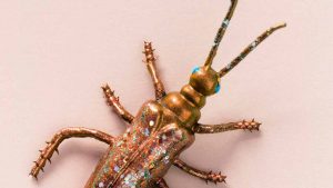 insetto brutto - freepik - risorgimentonocerino.it