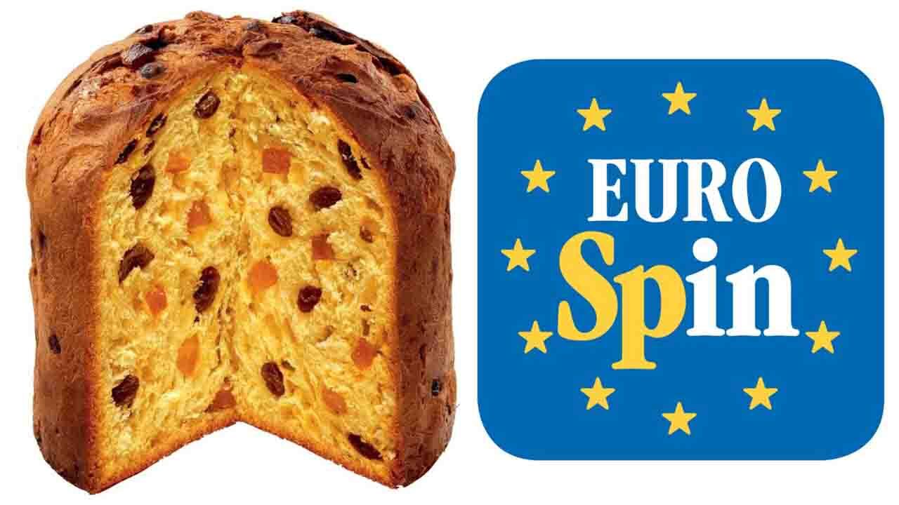 Panettone Eurospin vs Panettone Paluani: chef stellato rimane sotto shock all’assaggio | È successo quello che non ti immagini