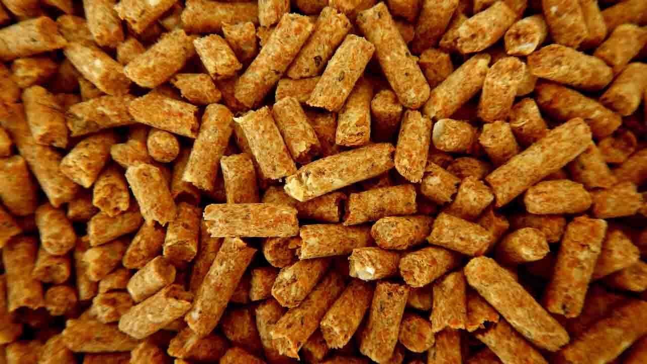 Sono un deficiente: ho fatto 800 euro di scorta pellet | Ma da Eurospin mi sistemavo con 26,99€ per tutto l’inverno