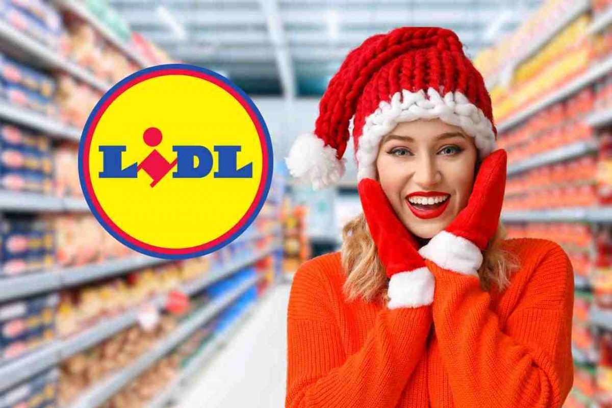 Lidl lancia l’elettrodomestico da 20 €: online costa oltre i 100€ | il risparmio è da prendere al volo: lo userai sempre