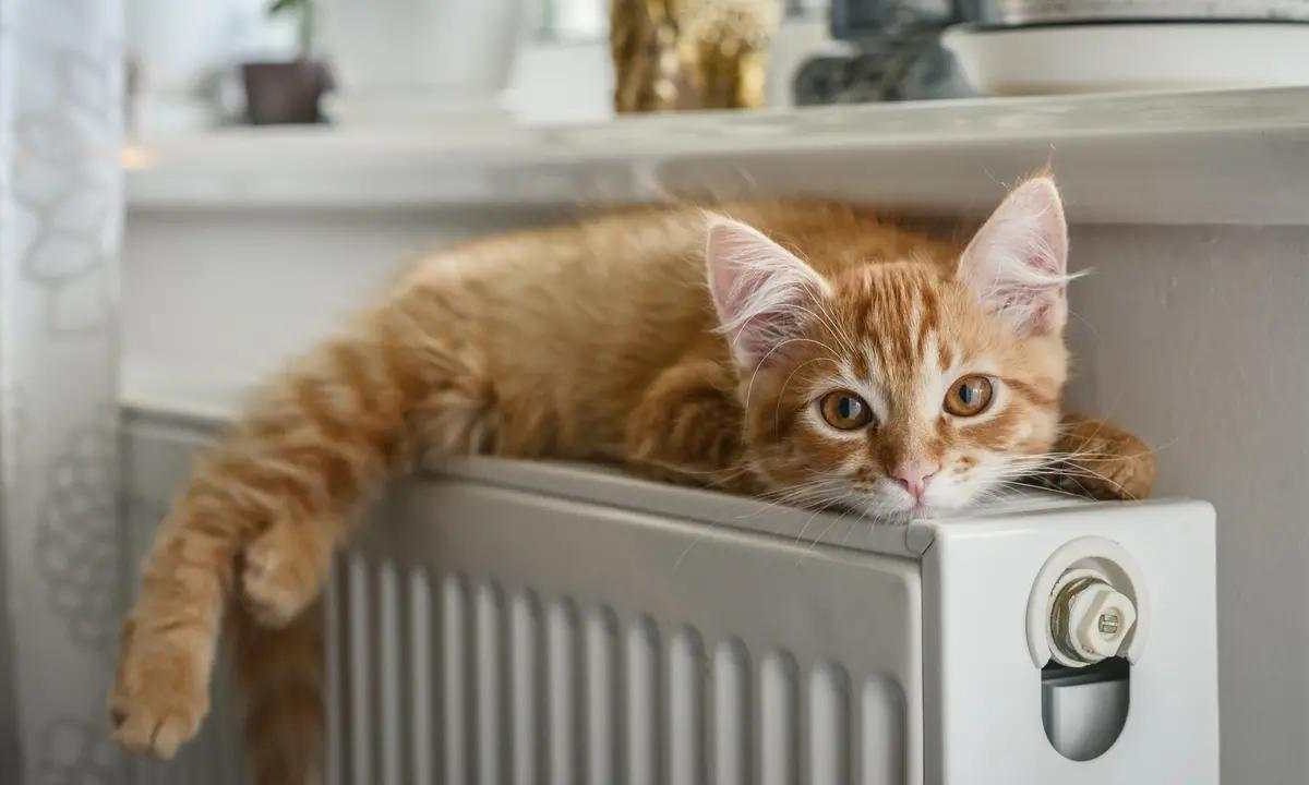 Termosifoni inutili, in Finlandia scaldano le case senza | Il trucco che costa pochi euro e ti scalda subito