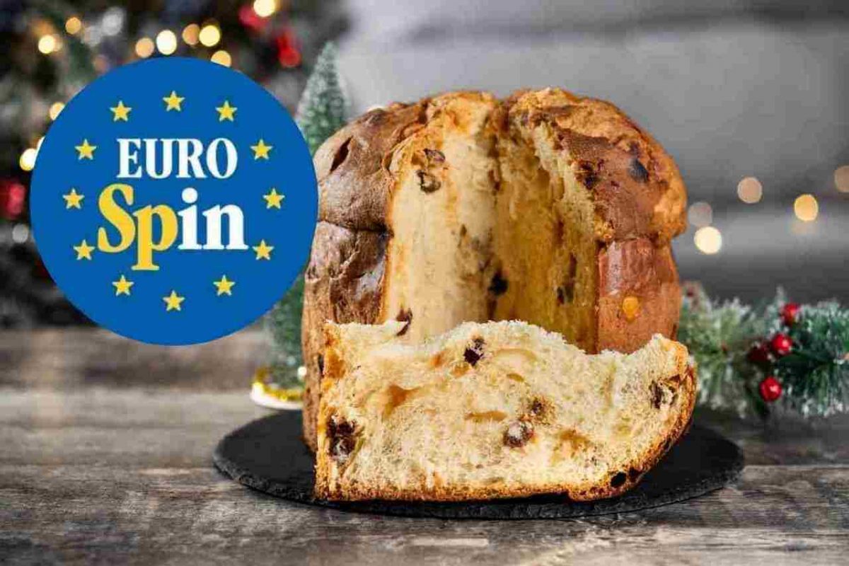 Eurospin, ti vende il panettone a 4€: ti diciamo noi cosa ci mettono davvero dentro | Quando l’ho scoperto sono sbiancato