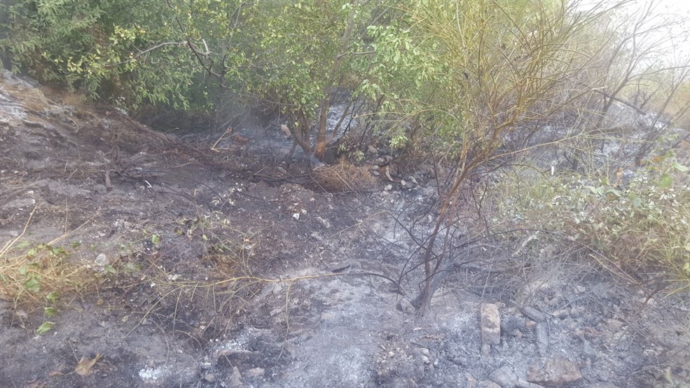 incendio-montalbino-0010
