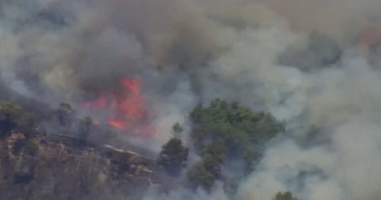 Prevenzione incendi boschivi, l’ordinanza del sindaco De Maio
