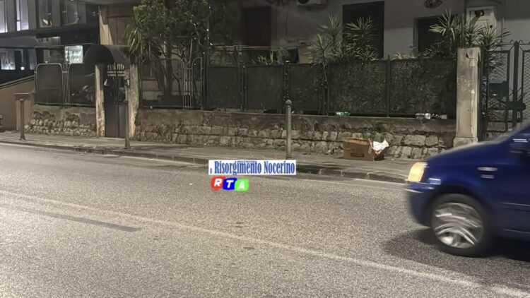 Nocera Inferiore, cane investito e ucciso in serata in via Atzori
